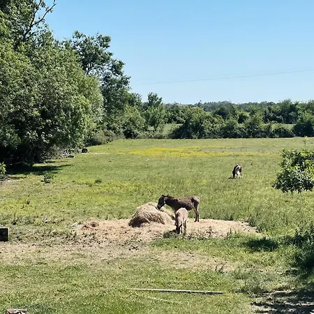 Guest house Le Cosy Saint-Androny