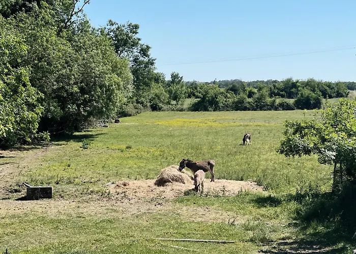Gæstehus Le Cosy Saint-Androny